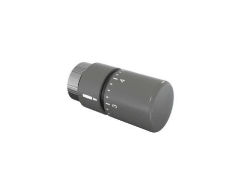 Tête thermostatique TH Couleur | 841279_Tête thermostatique TH_Couleur_Anthracite_0346_Vue droite.jpg