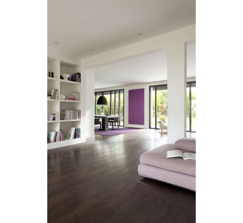 Fassane vertical simple - HX | Radiateur-Acova-Fassane-EC-HX-Coul-Amb-BD-3.jpg