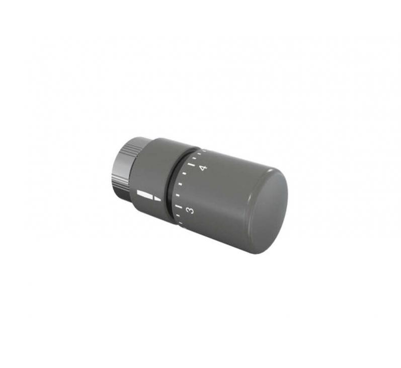 Tête thermostatique TH Couleur | 841279_Tête thermostatique TH_Couleur_Anthracite_0346_Vue droite.jpg